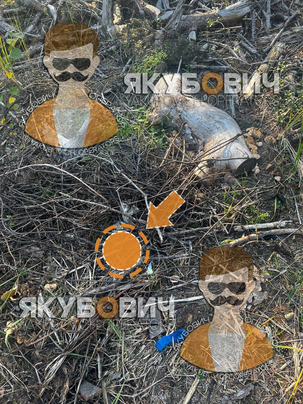 Фото завершение