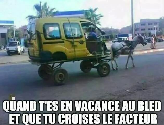 16729385_1859897640930802_8109876846246966222_n