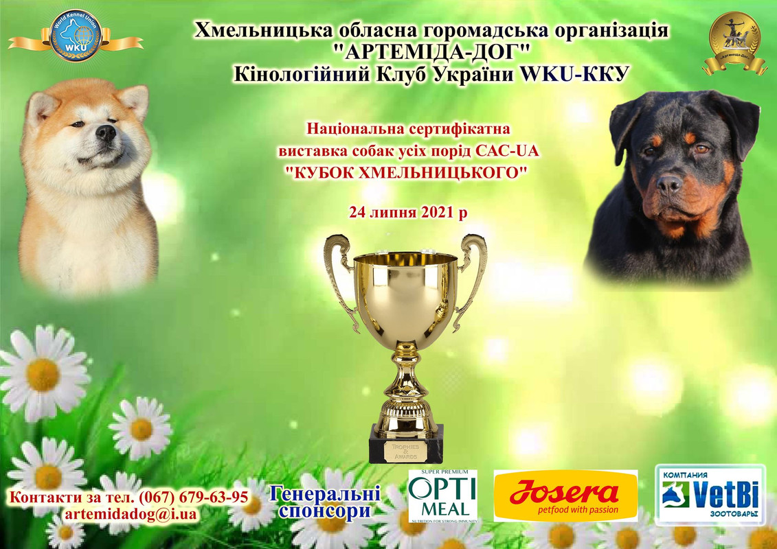 206147292_498782931388199_2793472010328248468_n