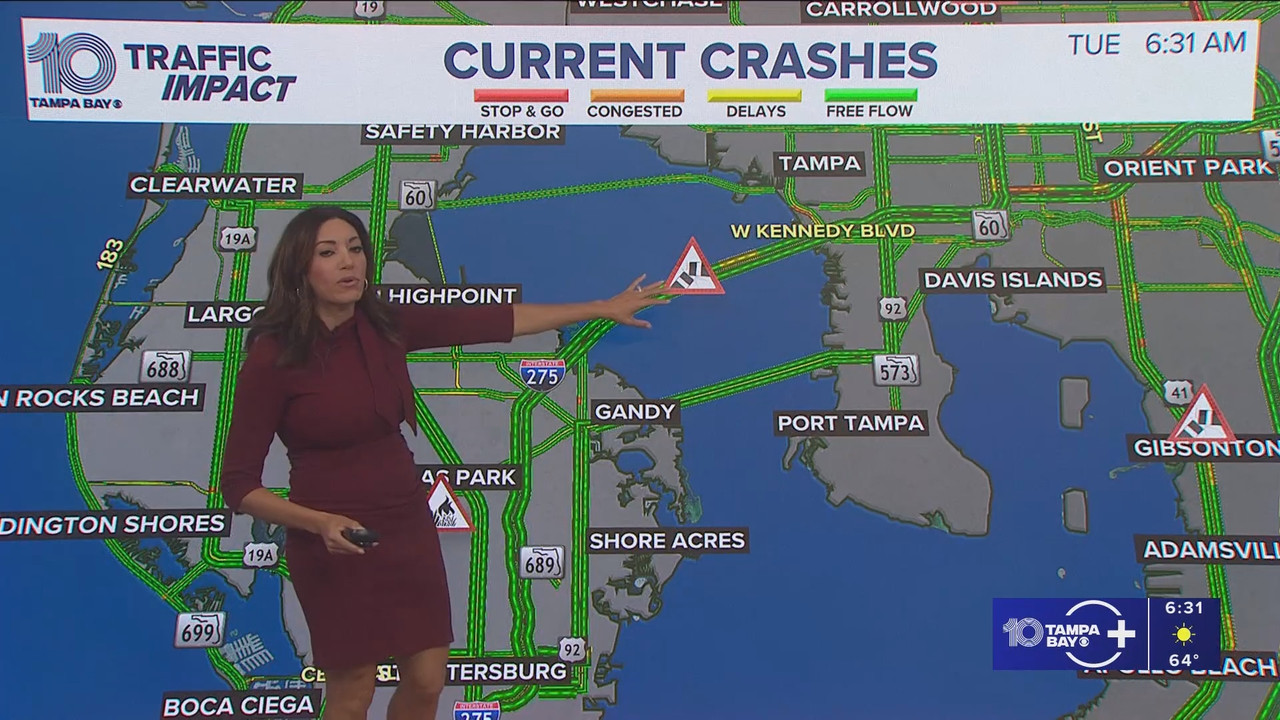 10 Tampa Bay News This Morning at 600 a m 20251118 11001200 ts snapshot 00 32 28 967
