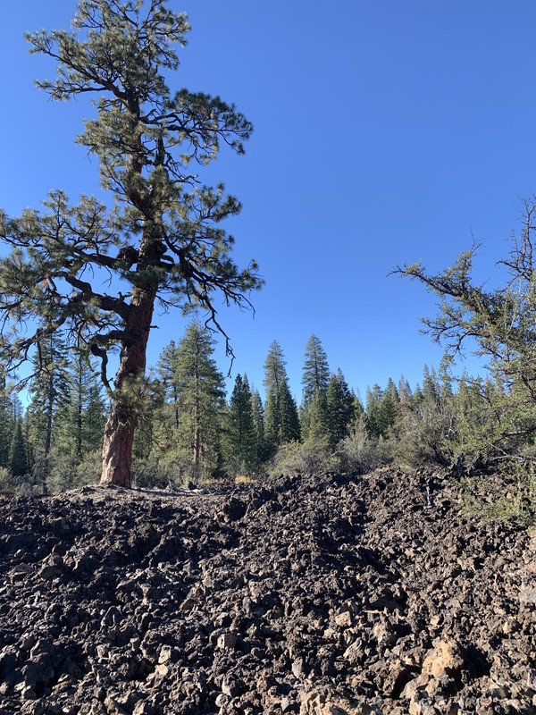 4AE0D86E-56E2-4C05-A4F6-1245B6DC7288