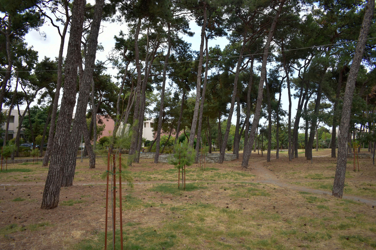 Αλεξανδρούπολη (10)