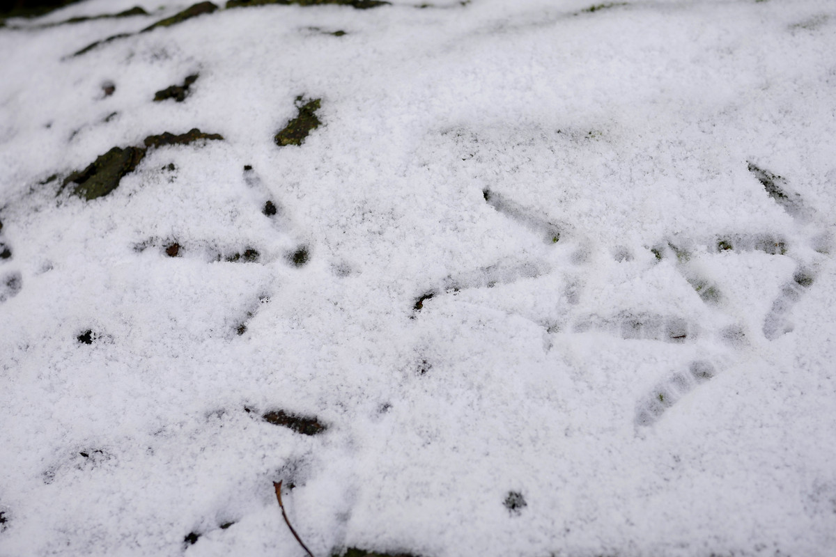 F2328160-2450-4867-9657-F829B63AD81F