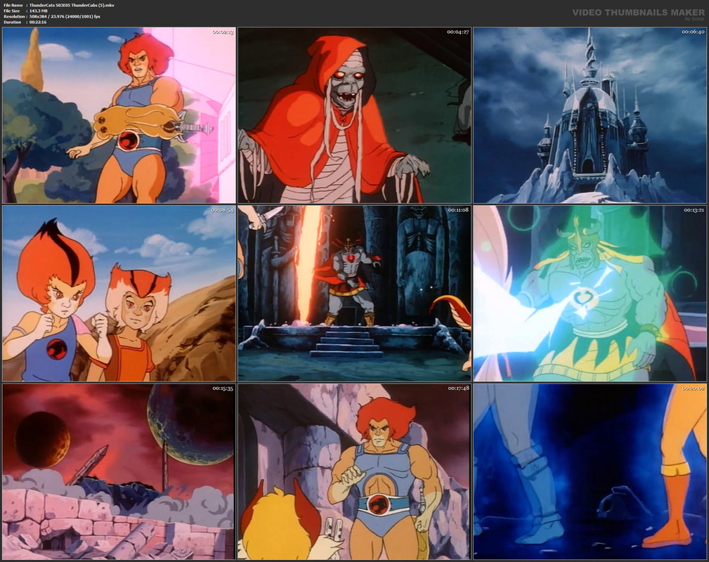 ThunderCats S03E05 ThunderCubs (5).mkv
