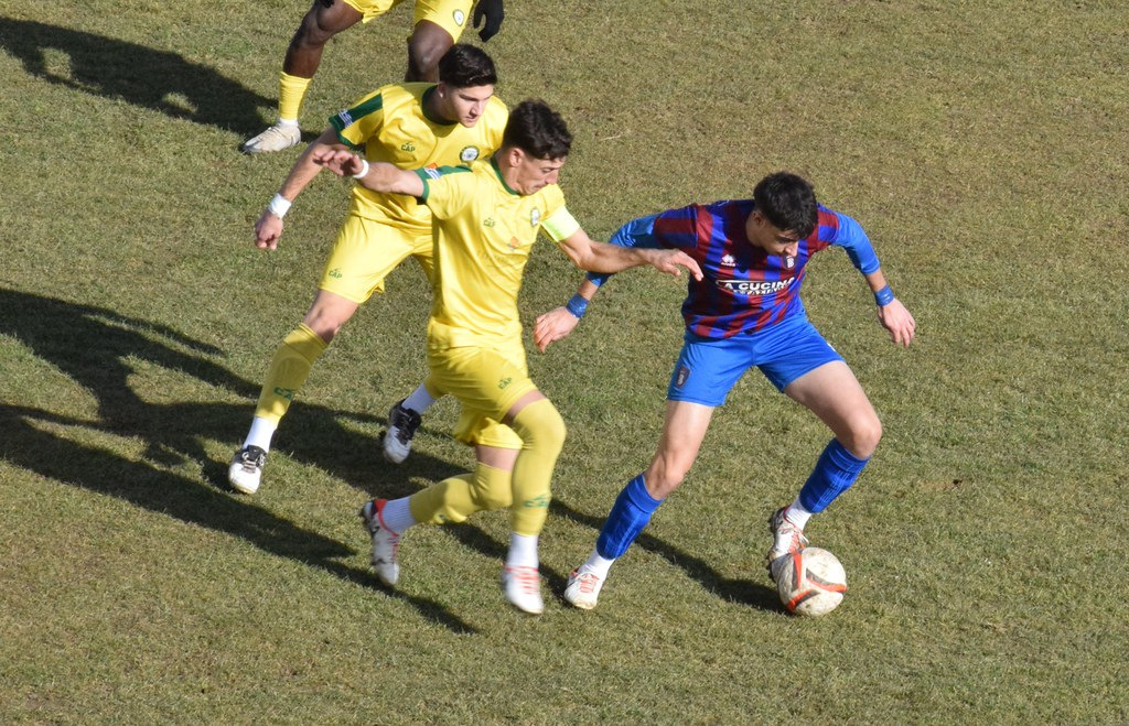 55059998561 5cf3b29cac b