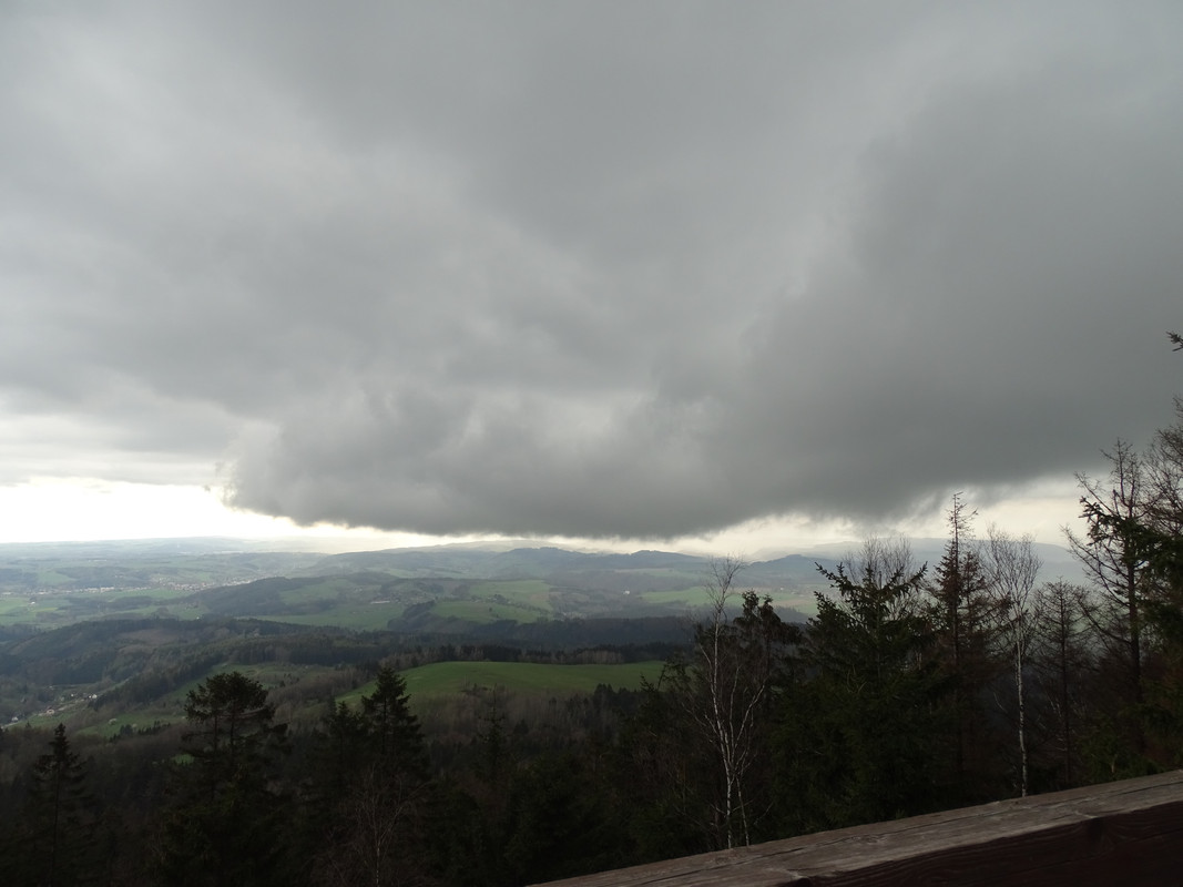 03.21 - DSC01751 (irycki)