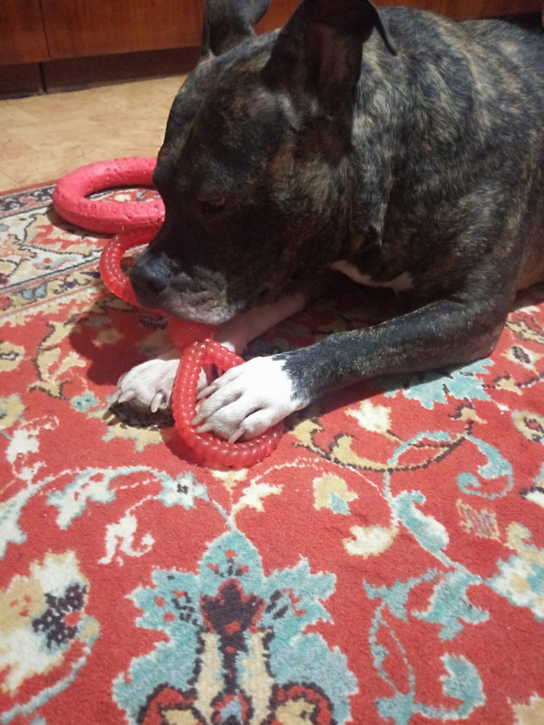 A46DC760-2901-4990-BAA1-A3E6B275BA5D