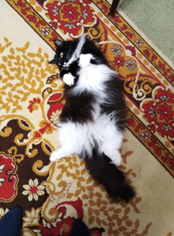 ECDECA8C-6D1C-42D0-AB18-B7C162837E62