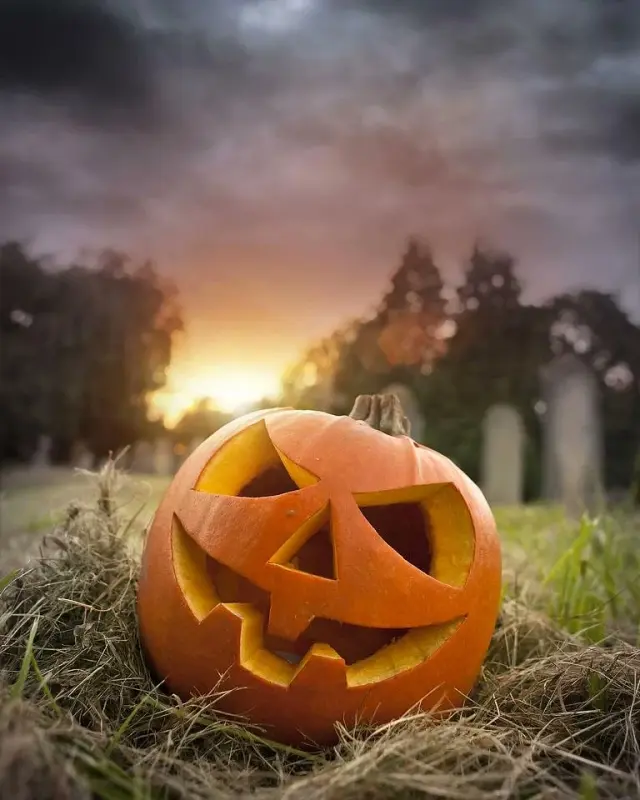 Pumpkins 0040
