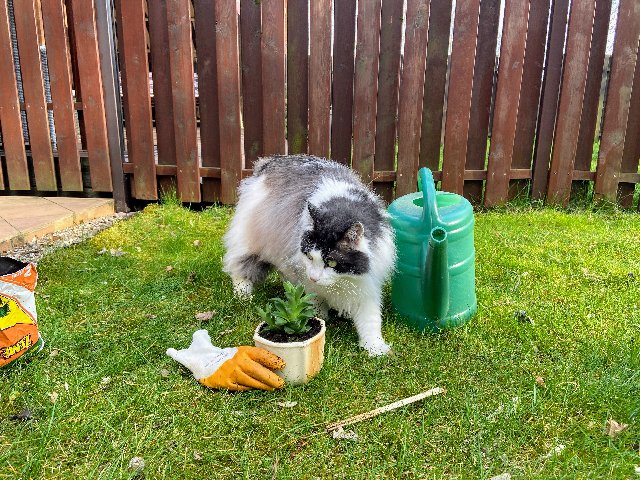 8-D7-C1-ABA-1-B9-D-4-CF1-BBB1-23-E550-BE