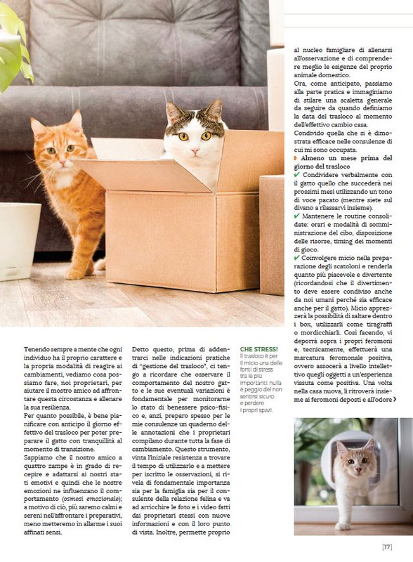 Ga Ma Dic 2022-Gen 2023 (2)