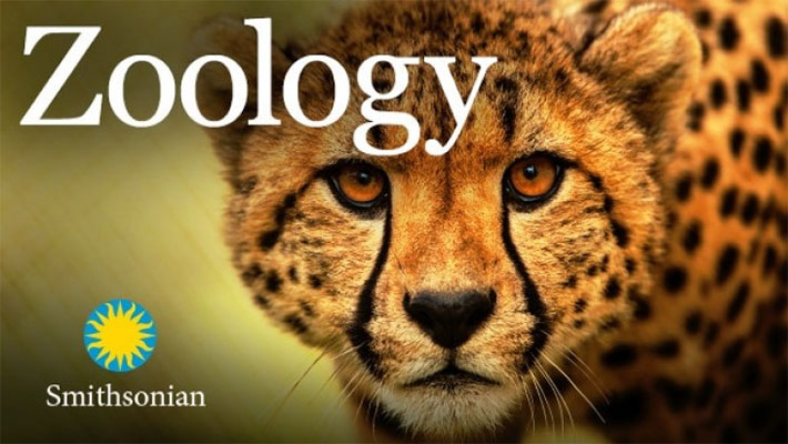 Zoology: Understanding the Animal World