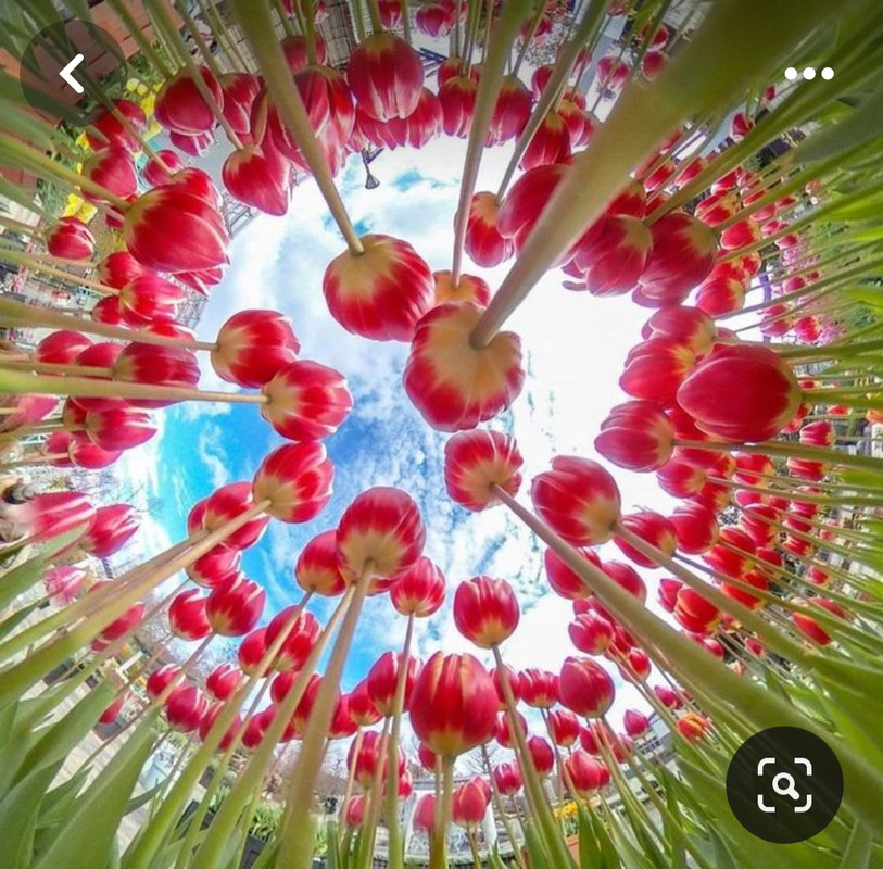 Screenshot_20240305_225445_Pinterest