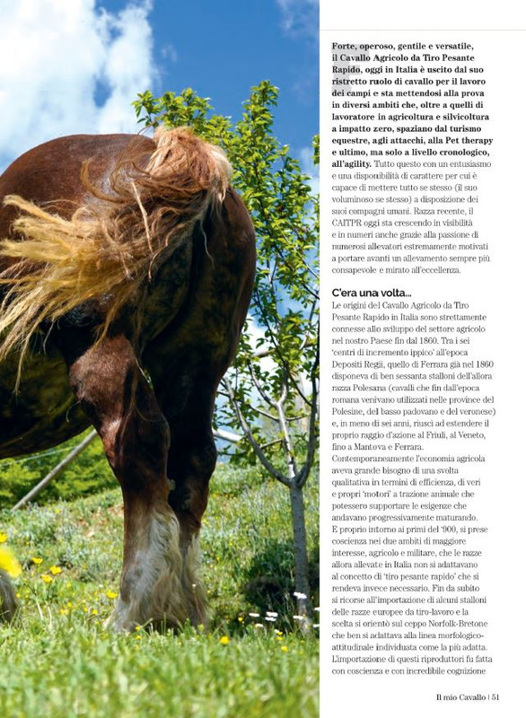 Il Mio Cav (Set 2022) 8