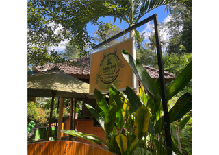 6 Aviones, 3 barcos y 2 trenes, empezando en Estambul y terminando Kuala Lump - Blogs de Indonesia - TERCERA PARADA: BALI (60)