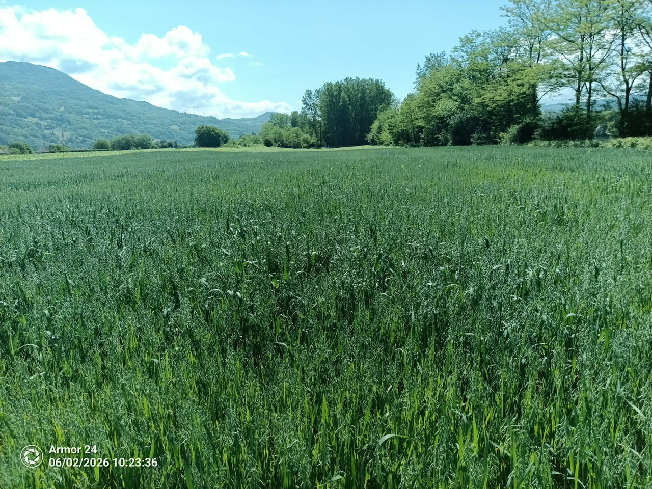 zob-1-jun.jpg