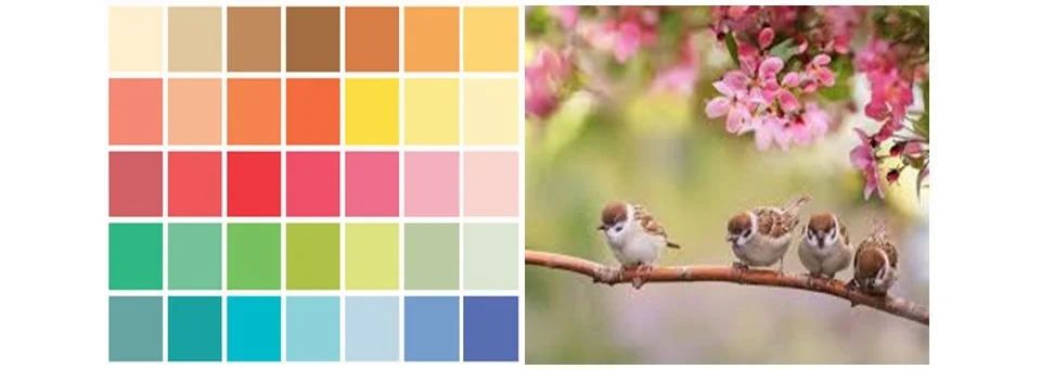 Palette Printemps : des teintes vives et claires comme le rose pâle, symbole de fraîcheur et de renouveau.