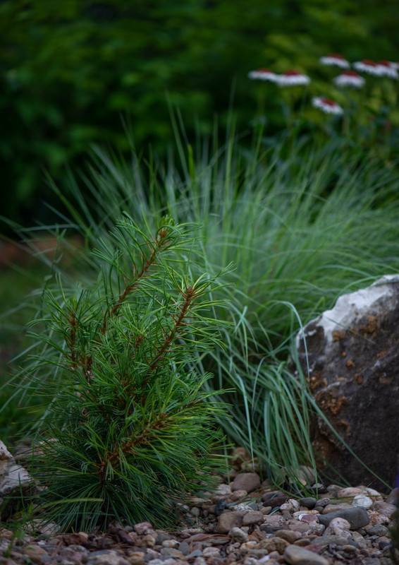 IMG-f604462ba8f46950292097cbf10264d8-V