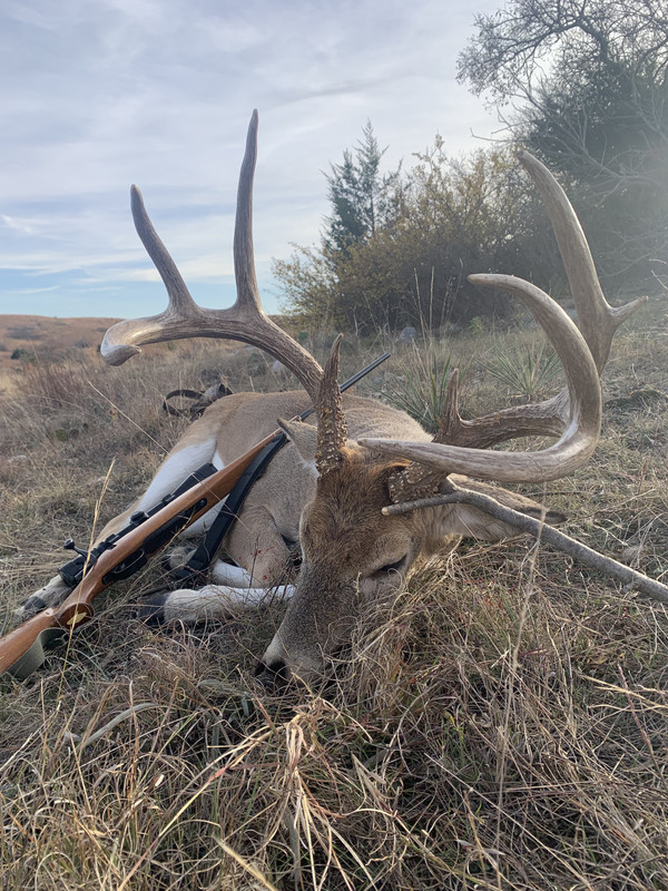 4E9EED51-C6AA-41F3-930B-1970D56E714B