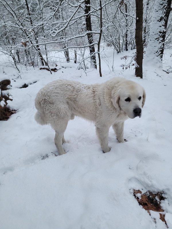 20251123 153736koło stawu