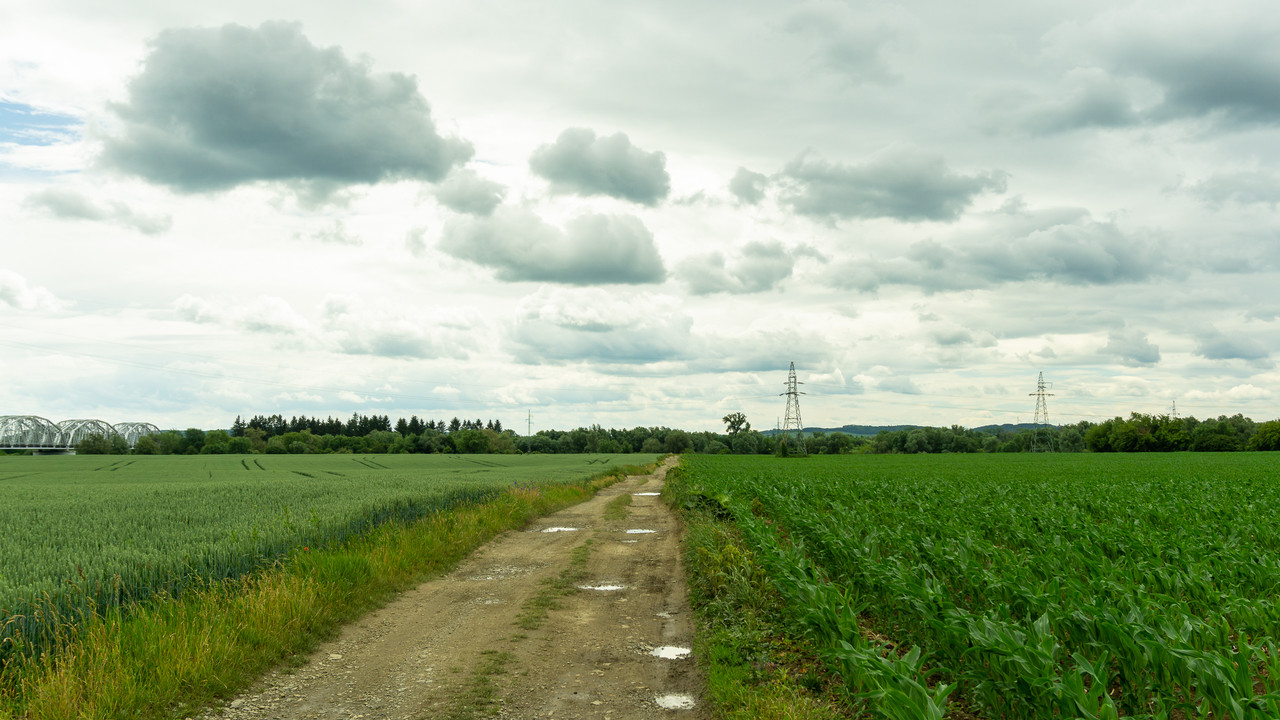 DSC07538.jpg