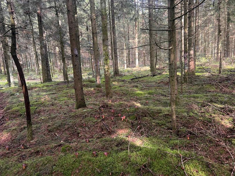 Изображение WhatsApp 2025-09-16 в 23.25.46_e011c480