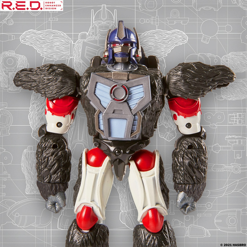 223253620_4624522964247275_2485569619777884295_n