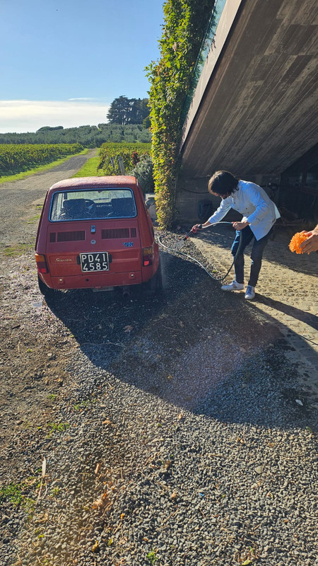 3cfaf21d-3c5b-49f7-99ce-61e89874a5a7