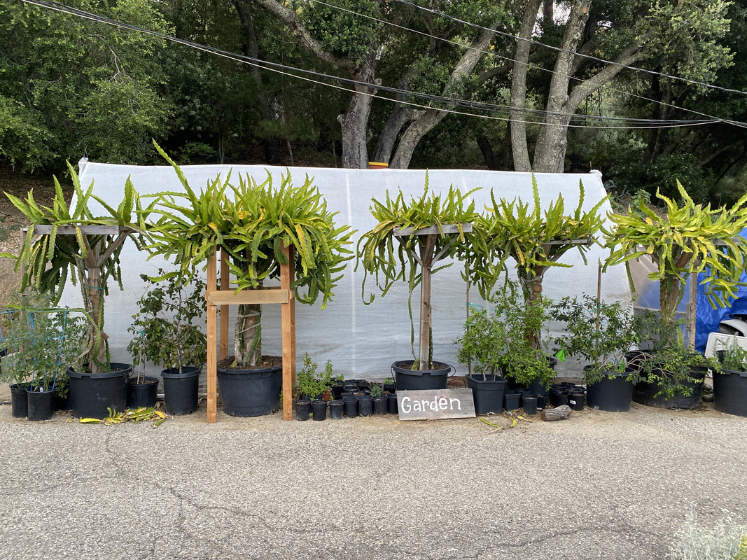 D434A567-7A34-4577-A0CA-EF0FF8664B42