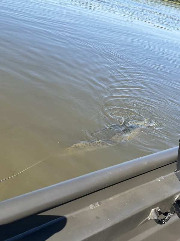 AFBFD3E9-1EB1-4D69-8E69-D24B0B1EFC38