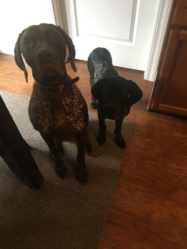 63996080-3088-434A-977A-9F268E27F09B