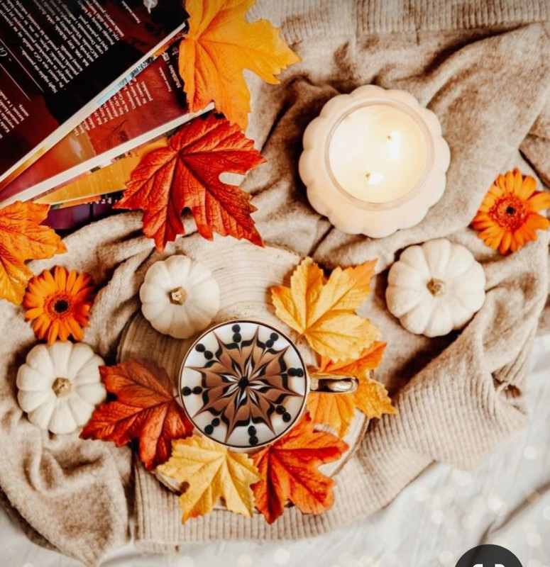 Screenshot_20230923_001454_Pinterest