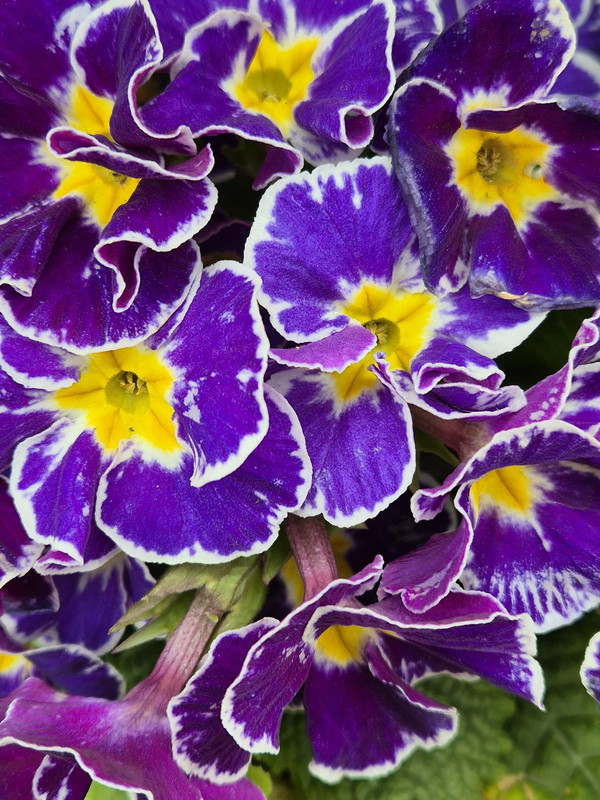 c8e738e0-87a5-4ad9-a2f6-9888692a2bf9