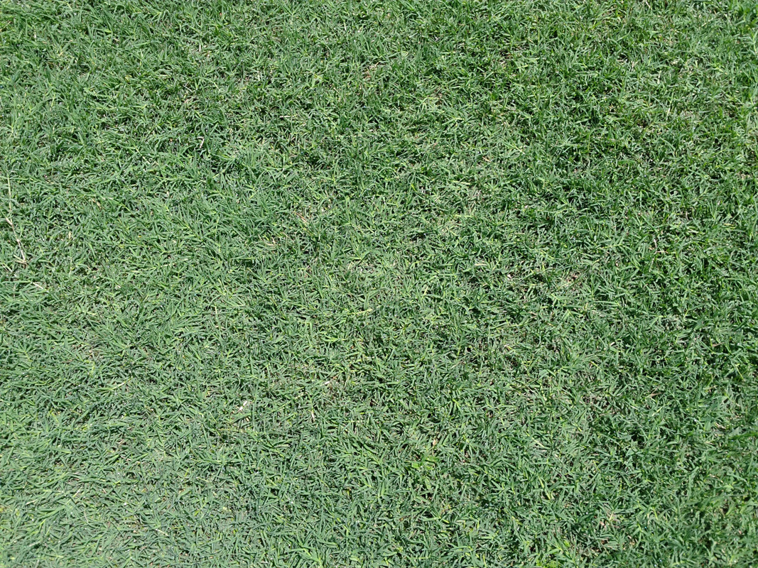 IMG_20130611_113126 (3)