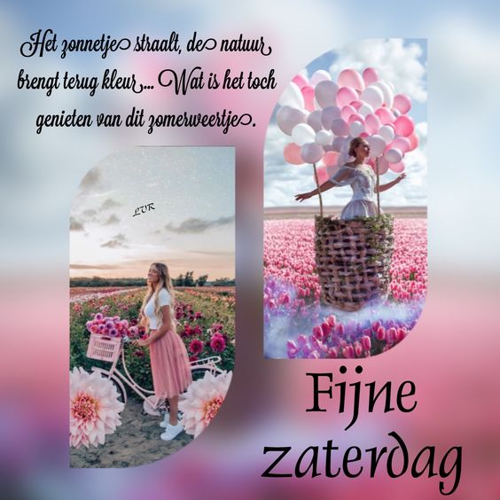 a776c8abf265aa6792e13125e46811ea-1