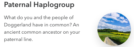 Screen-Shot-2019-01-02-at-4-38-22-PM.png