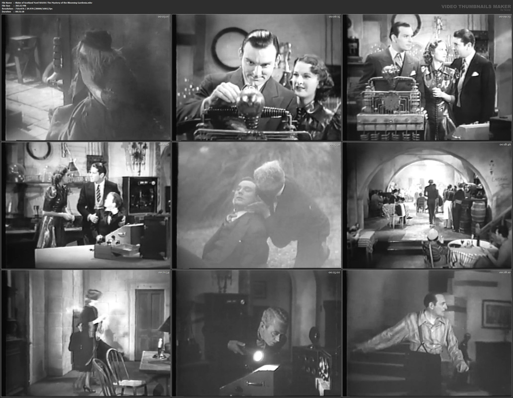 Blake of Scotland Yard S01E01 The Mystery of the Blooming Gardenia.mkv