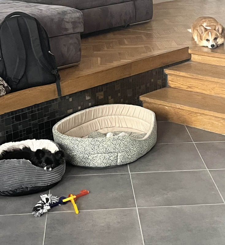 [Image: 36-A4-E2-AC-400-B-47-E5-8887-E2-EC85-ACC9-C1.jpg]