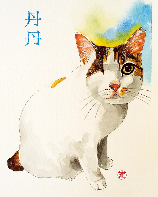 05