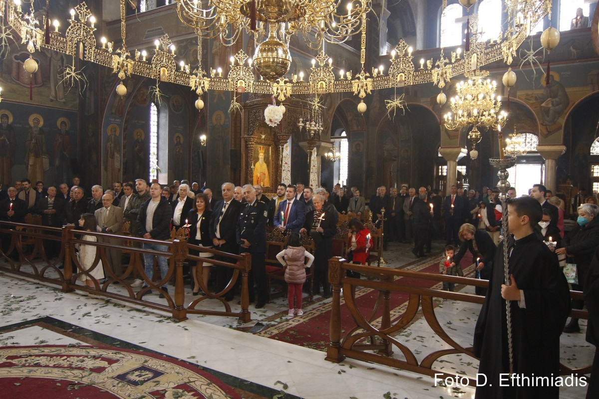 _7D20704 (Αντιγραφή)