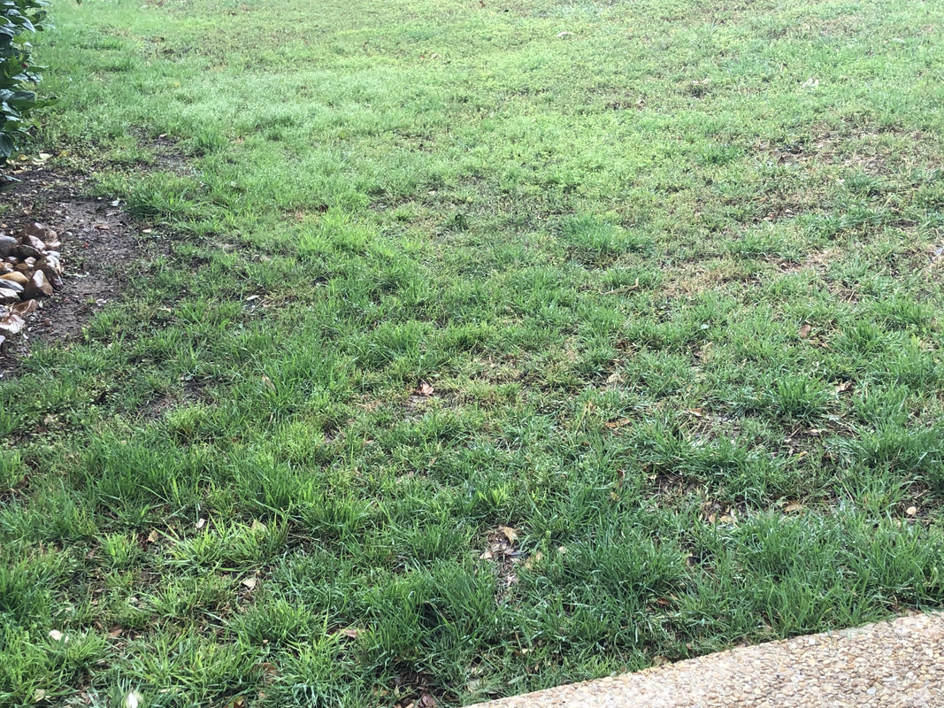 38F0179A-BB86-4B1F-A816-76BC90FC61AA