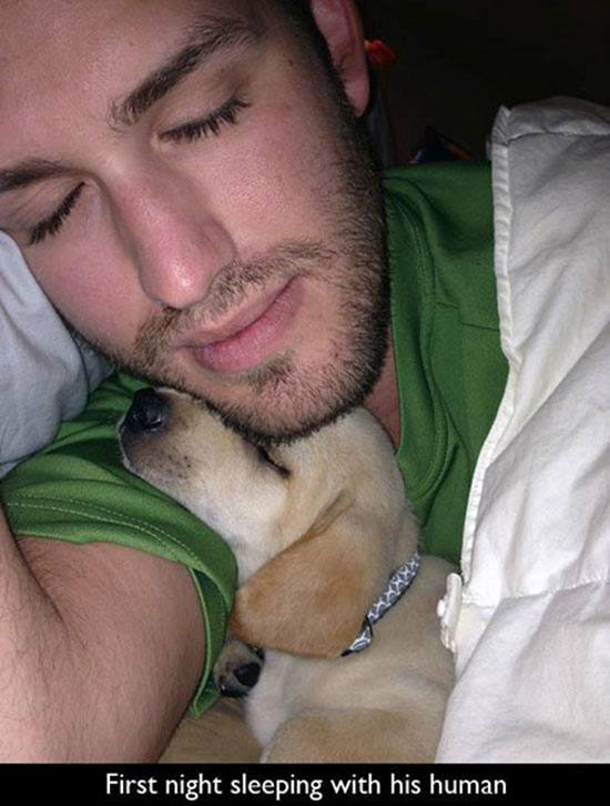 mans-best-friend-4