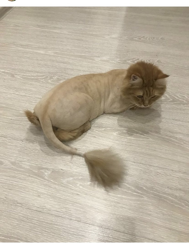 5154D97A-7EFD-4B48-A403-E48842B1F662