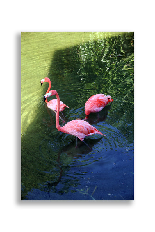 Юкатан. Неделя в декабре 2025