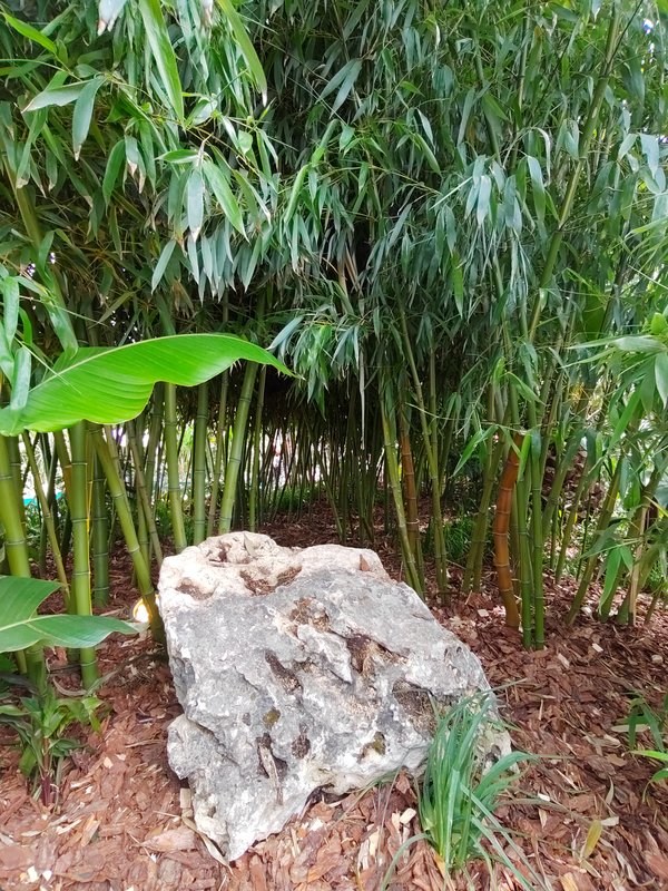 https://i.postimg.cc/ydNDKM5k/53-IMG-20250610-105306.jpg