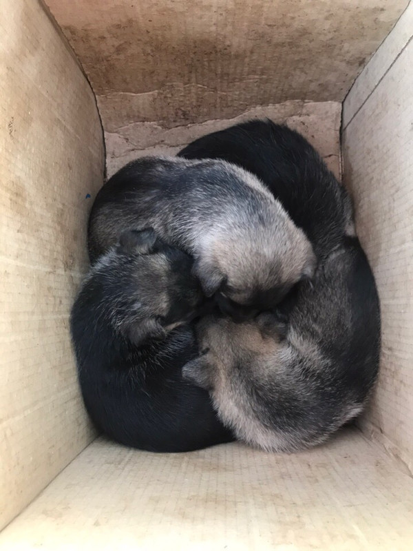 7DC99138-8E34-418E-BE99-9E86A672B148