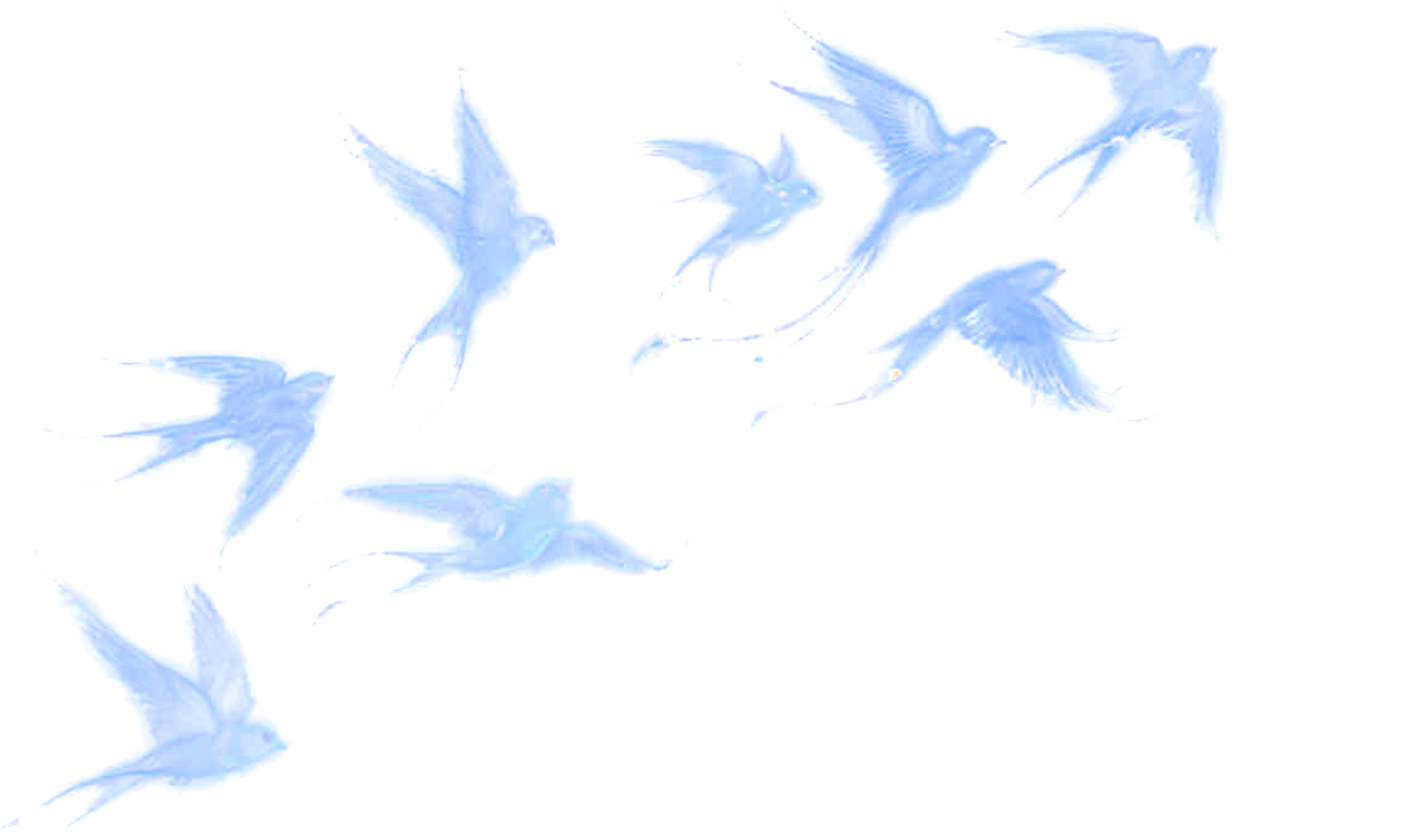 1000012988