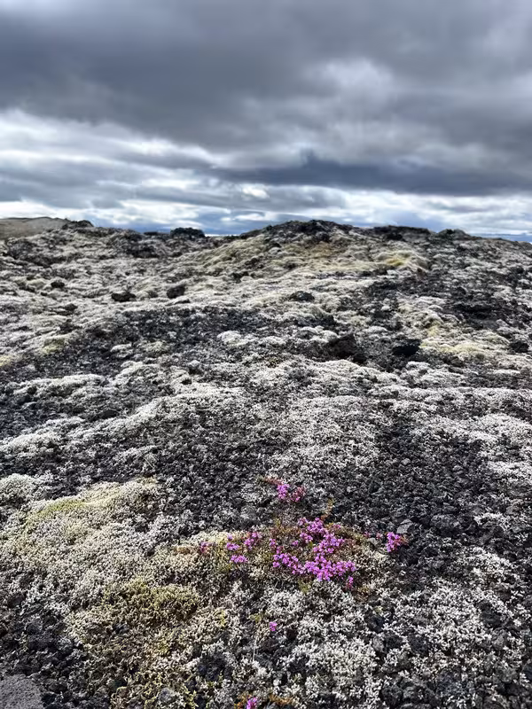 8/07/2025 ZONA VOLCÁNICA KRAFLA, HVERIR. DETTIFOSS Y HAFRAGHSFOSS POR 864 (ESTE) - 2º Viaje a la Tierra del Hielo y Fuego de 21 días (en construcción, con videos) (11)