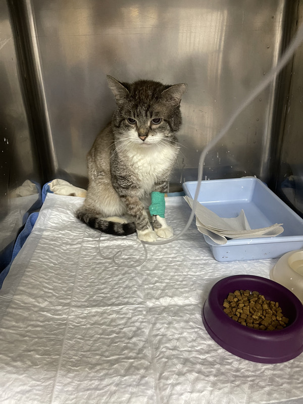 5BA44C7E-5241-45B8-A863-99CD1A24F0F0