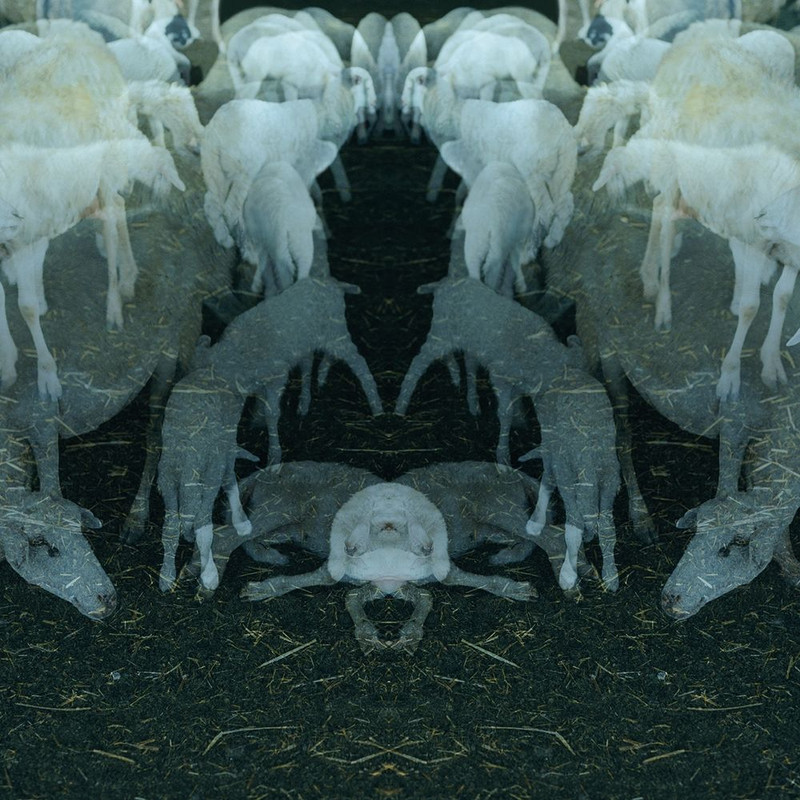 Alfio Antico - Antico (2016) .mp3 -320 Kbps